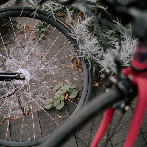 Opony rowerowe – wszystko co warto wiedzieć